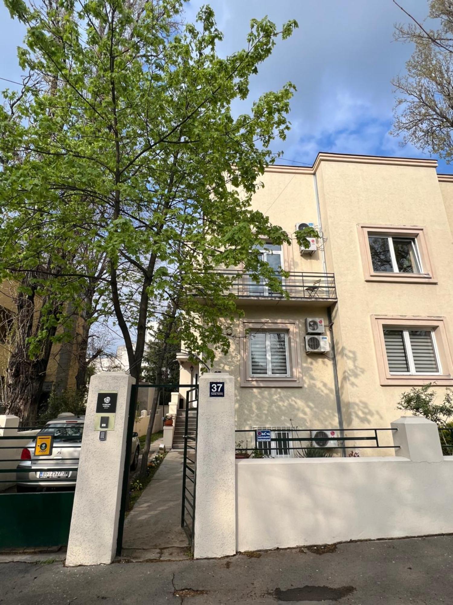 Cabbage Hostel Belgrad Exterior foto